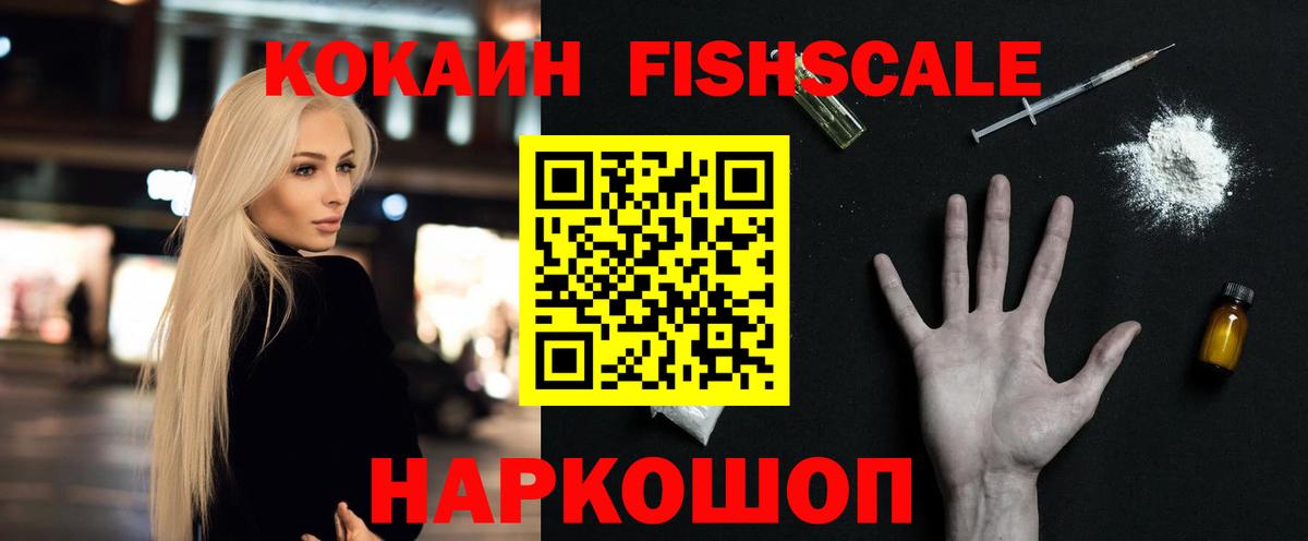 COCAIN Fish Scale  COCAIN Fish Scale  Гусев  Вход с VPN 