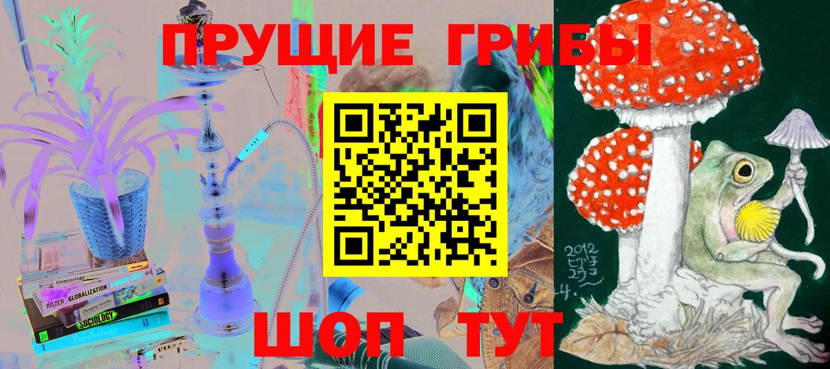 Псилоцибиновые грибы Psilocybine cubensis Гусев