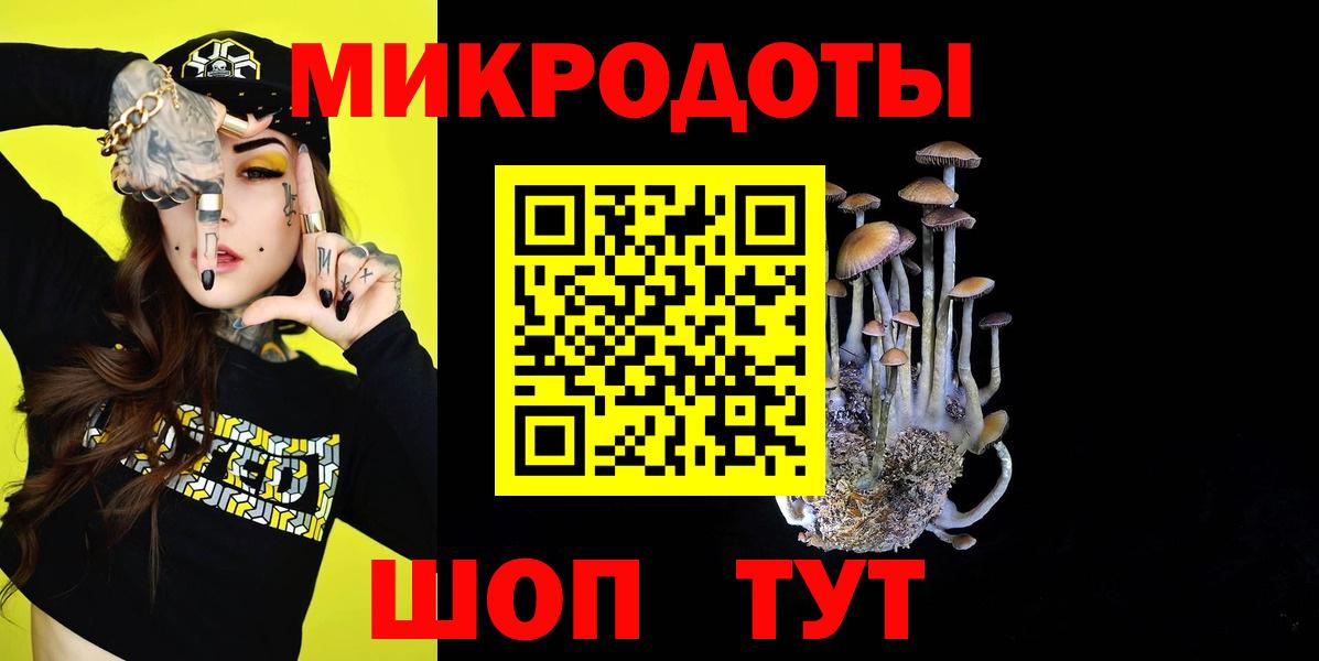 Псилоцибиновые грибы Magic Shrooms  Галлюциногенные грибы Magic Shrooms  Вход с VPN  Гусев 
